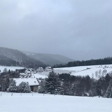 Appartement Familie Willems Winterberg 2 Zewnętrze zdjęcie