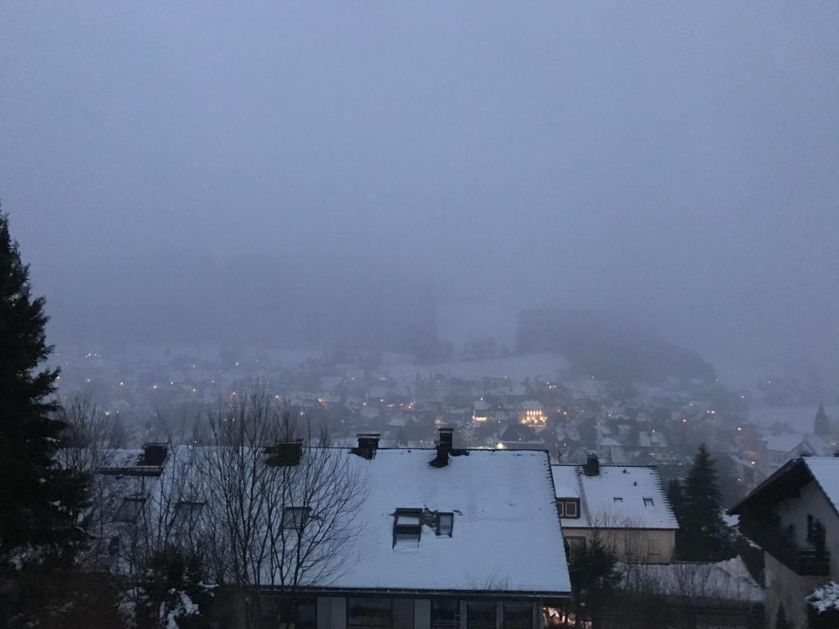 Appartement Familie Willems Winterberg 2 Zewnętrze zdjęcie