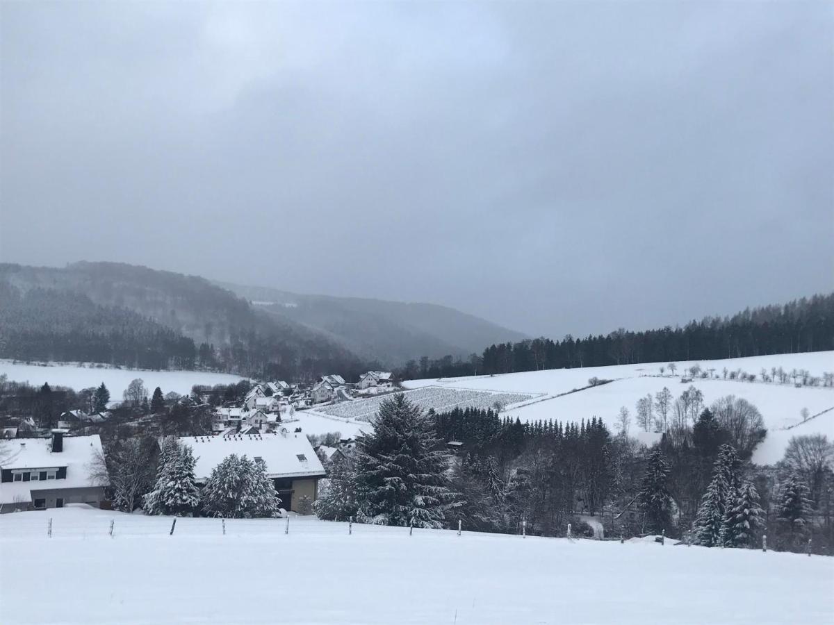 Appartement Familie Willems Winterberg 2 Zewnętrze zdjęcie
