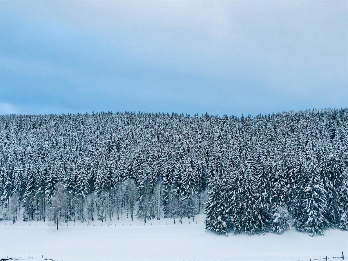 Appartement Familie Willems Winterberg 2 Zewnętrze zdjęcie