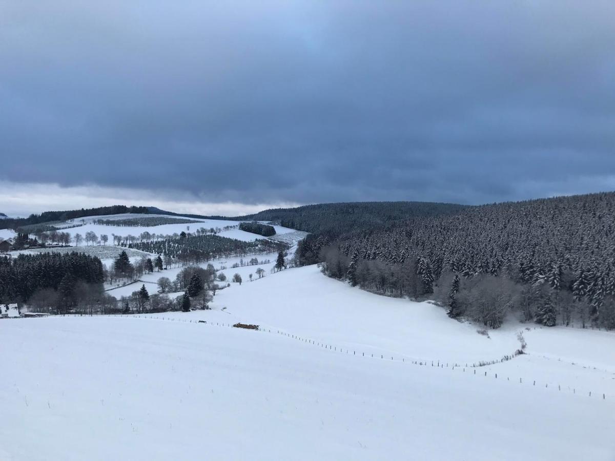 Appartement Familie Willems Winterberg 2 Zewnętrze zdjęcie